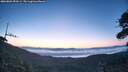 ./images/calvert/fitz-hugh-hecate/20260804/fitz-hugh-hecate20260804_053501M.jpg