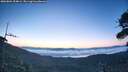 ./images/calvert/fitz-hugh-hecate/20260804/fitz-hugh-hecate20260804_054002M.jpg