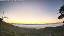 ./images/calvert/fitz-hugh-hecate/20260804/fitz-hugh-hecate20260804_054502M.jpg