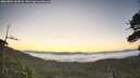 ./images/calvert/fitz-hugh-hecate/20260804/fitz-hugh-hecate20260804_060001M.jpg