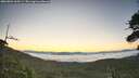 ./images/calvert/fitz-hugh-hecate/20260804/fitz-hugh-hecate20260804_060501M.jpg