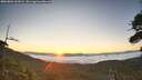 ./images/calvert/fitz-hugh-hecate/20260804/fitz-hugh-hecate20260804_061001M.jpg