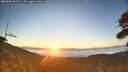 ./images/calvert/fitz-hugh-hecate/20260804/fitz-hugh-hecate20260804_061501M.jpg