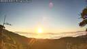 ./images/calvert/fitz-hugh-hecate/20260804/fitz-hugh-hecate20260804_063002M.jpg