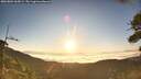 ./images/calvert/fitz-hugh-hecate/20260804/fitz-hugh-hecate20260804_065001M.jpg
