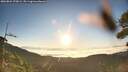 ./images/calvert/fitz-hugh-hecate/20260804/fitz-hugh-hecate20260804_070002M.jpg