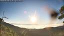 ./images/calvert/fitz-hugh-hecate/20260804/fitz-hugh-hecate20260804_070501M.jpg
