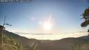 ./images/calvert/fitz-hugh-hecate/20260804/fitz-hugh-hecate20260804_071001M.jpg
