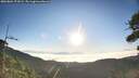 ./images/calvert/fitz-hugh-hecate/20260804/fitz-hugh-hecate20260804_072001M.jpg