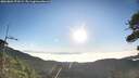 ./images/calvert/fitz-hugh-hecate/20260804/fitz-hugh-hecate20260804_073501M.jpg