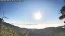 ./images/calvert/fitz-hugh-hecate/20260804/fitz-hugh-hecate20260804_074001M.jpg