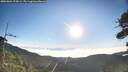 ./images/calvert/fitz-hugh-hecate/20260804/fitz-hugh-hecate20260804_074501M.jpg