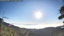 ./images/calvert/fitz-hugh-hecate/20260804/fitz-hugh-hecate20260804_075001M.jpg