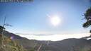 ./images/calvert/fitz-hugh-hecate/20260804/fitz-hugh-hecate20260804_075501M.jpg