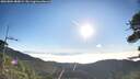 ./images/calvert/fitz-hugh-hecate/20260804/fitz-hugh-hecate20260804_080001M.jpg