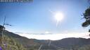 ./images/calvert/fitz-hugh-hecate/20260804/fitz-hugh-hecate20260804_082001M.jpg