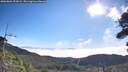 ./images/calvert/fitz-hugh-hecate/20260804/fitz-hugh-hecate20260804_093002M.jpg