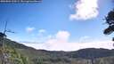./images/calvert/fitz-hugh-hecate/20260804/fitz-hugh-hecate20260804_100501M.jpg