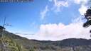 ./images/calvert/fitz-hugh-hecate/20260804/fitz-hugh-hecate20260804_104002M.jpg