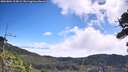 ./images/calvert/fitz-hugh-hecate/20260804/fitz-hugh-hecate20260804_105001M.jpg