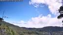 ./images/calvert/fitz-hugh-hecate/20260804/fitz-hugh-hecate20260804_105501M.jpg