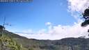 ./images/calvert/fitz-hugh-hecate/20260804/fitz-hugh-hecate20260804_110001M.jpg