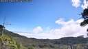 ./images/calvert/fitz-hugh-hecate/20260804/fitz-hugh-hecate20260804_110502M.jpg