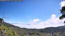 ./images/calvert/fitz-hugh-hecate/20260804/fitz-hugh-hecate20260804_112501M.jpg