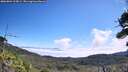 ./images/calvert/fitz-hugh-hecate/20260804/fitz-hugh-hecate20260804_113001M.jpg