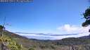 ./images/calvert/fitz-hugh-hecate/20260804/fitz-hugh-hecate20260804_120502M.jpg