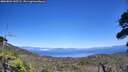 ./images/calvert/fitz-hugh-hecate/20260804/fitz-hugh-hecate20260804_145501M.jpg