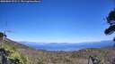 ./images/calvert/fitz-hugh-hecate/20260804/fitz-hugh-hecate20260804_151501M.jpg