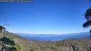 ./images/calvert/fitz-hugh-hecate/20260804/fitz-hugh-hecate20260804_154001M.jpg