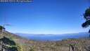 ./images/calvert/fitz-hugh-hecate/20260804/fitz-hugh-hecate20260804_155501M.jpg