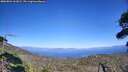 ./images/calvert/fitz-hugh-hecate/20260804/fitz-hugh-hecate20260804_161001M.jpg