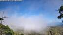 ./images/calvert/fitz-hugh-hecate/20260804/fitz-hugh-hecate20260804_163001M.jpg