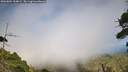 ./images/calvert/fitz-hugh-hecate/20260804/fitz-hugh-hecate20260804_164001M.jpg