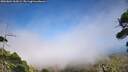 ./images/calvert/fitz-hugh-hecate/20260804/fitz-hugh-hecate20260804_164501M.jpg