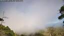 ./images/calvert/fitz-hugh-hecate/20260804/fitz-hugh-hecate20260804_165001M.jpg