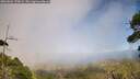 ./images/calvert/fitz-hugh-hecate/20260804/fitz-hugh-hecate20260804_170001M.jpg