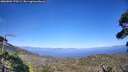 ./images/calvert/fitz-hugh-hecate/20260804/fitz-hugh-hecate20260804_170501M.jpg