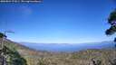 ./images/calvert/fitz-hugh-hecate/20260804/fitz-hugh-hecate20260804_171001M.jpg