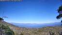 ./images/calvert/fitz-hugh-hecate/20260804/fitz-hugh-hecate20260804_171501M.jpg