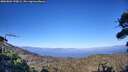 ./images/calvert/fitz-hugh-hecate/20260804/fitz-hugh-hecate20260804_190001M.jpg