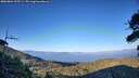 ./images/calvert/fitz-hugh-hecate/20260804/fitz-hugh-hecate20260804_195501M.jpg