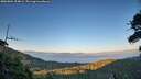 ./images/calvert/fitz-hugh-hecate/20260804/fitz-hugh-hecate20260804_204001M.jpg