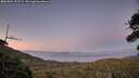 ./images/calvert/fitz-hugh-hecate/20260804/fitz-hugh-hecate20260804_213501M.jpg