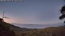 ./images/calvert/fitz-hugh-hecate/20260804/fitz-hugh-hecate20260804_214501M.jpg