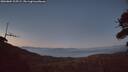 ./images/calvert/fitz-hugh-hecate/20260804/fitz-hugh-hecate20260804_215501M.jpg