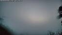 ./images/calvert/fitz-hugh-hecate/20260805/fitz-hugh-hecate20260805_053002M.jpg